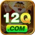 12q APK Max v3.3.7